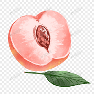 WWW,392se·COM网站APPAPP应用