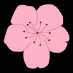 高清乱码?❌♋破解版APP应用